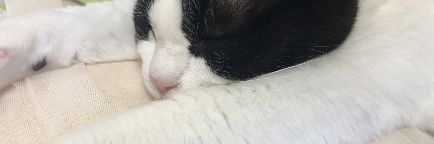 nyankou20211's profile banner image