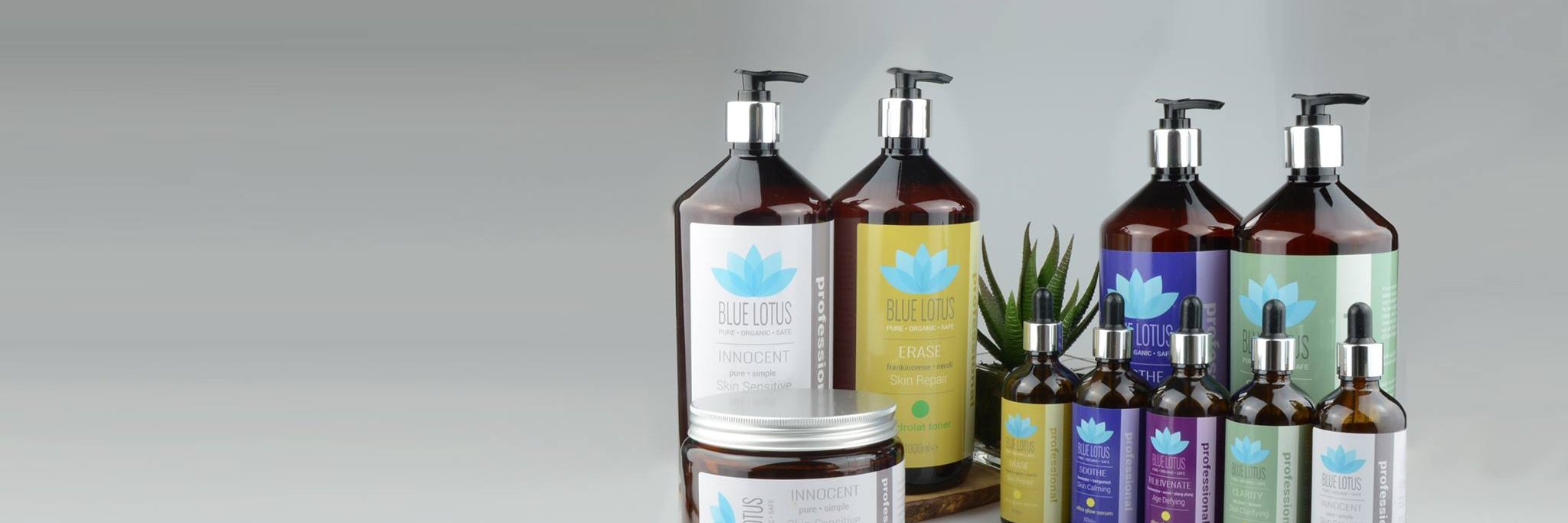blulotusorganic's profile banner image