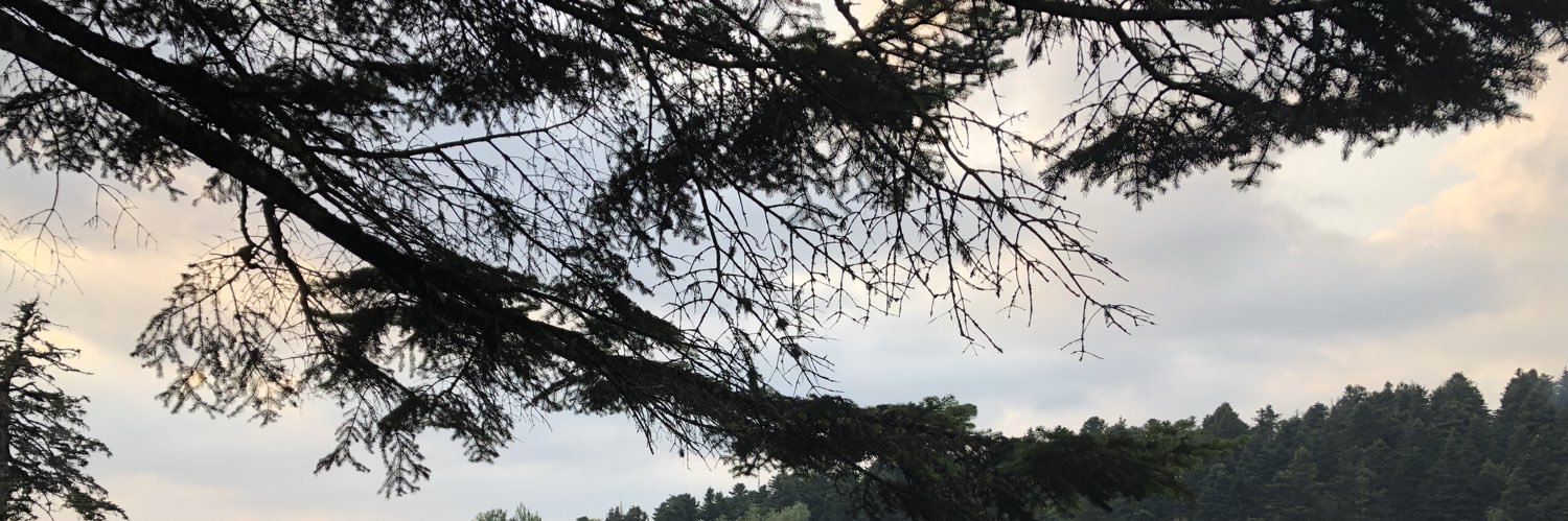 AyerAlperen's profile banner image
