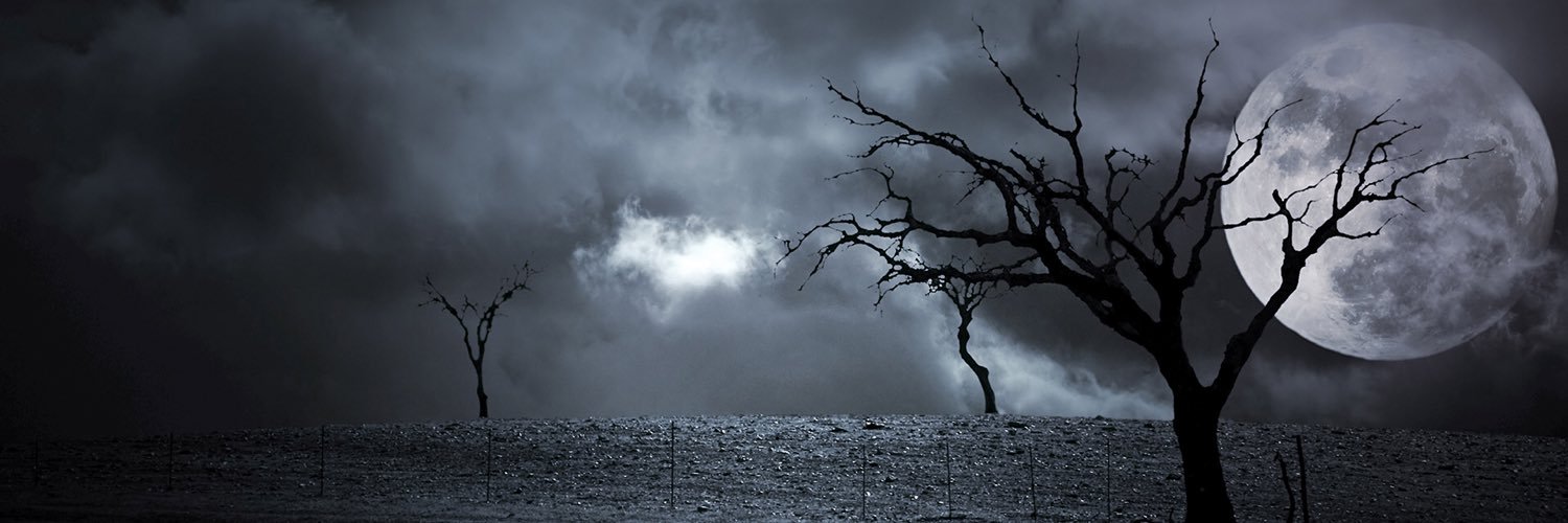 ScaredyCat77's profile banner image