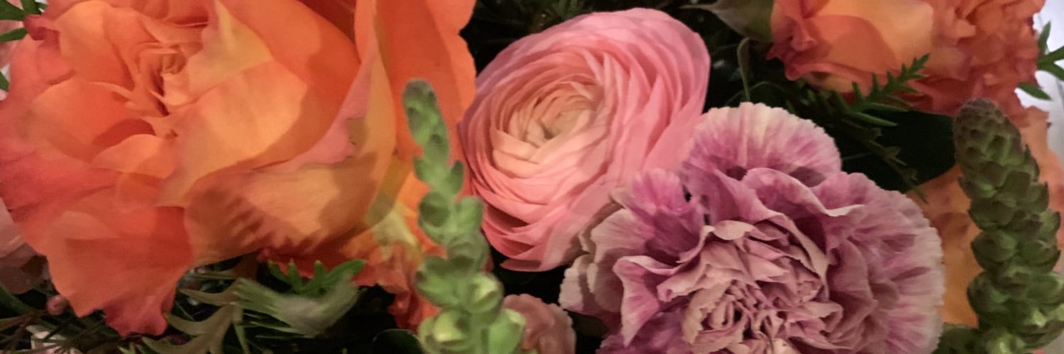 KellyWHarrisMD's profile banner image
