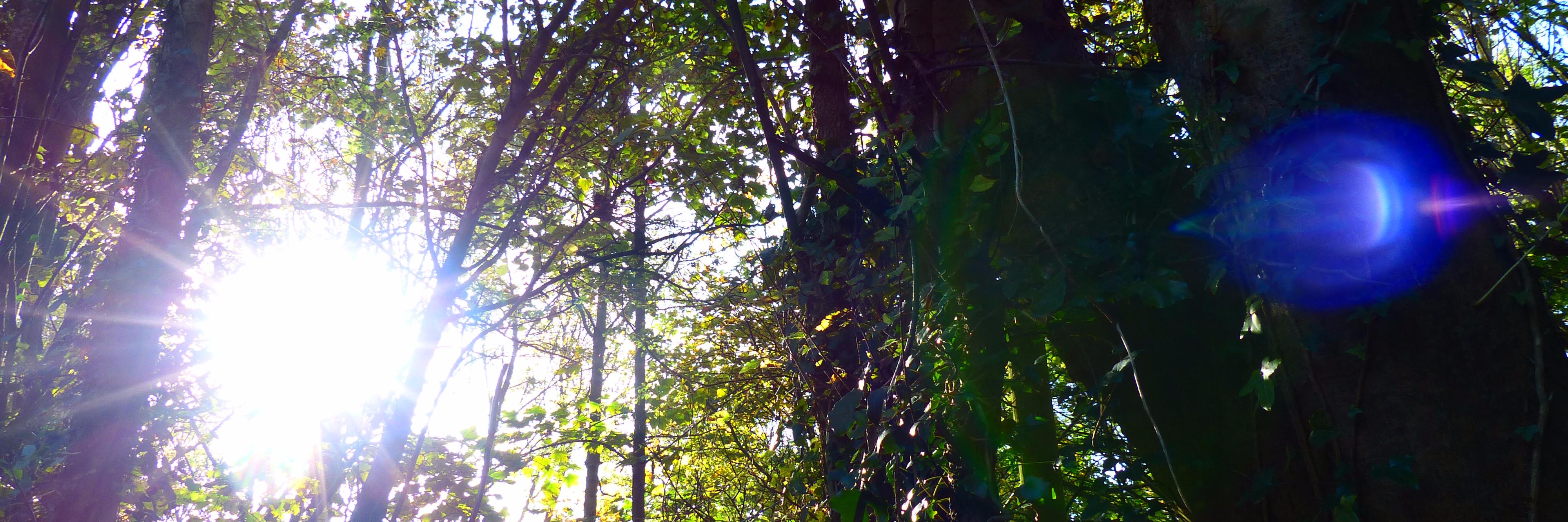 drkjackson5's profile banner image
