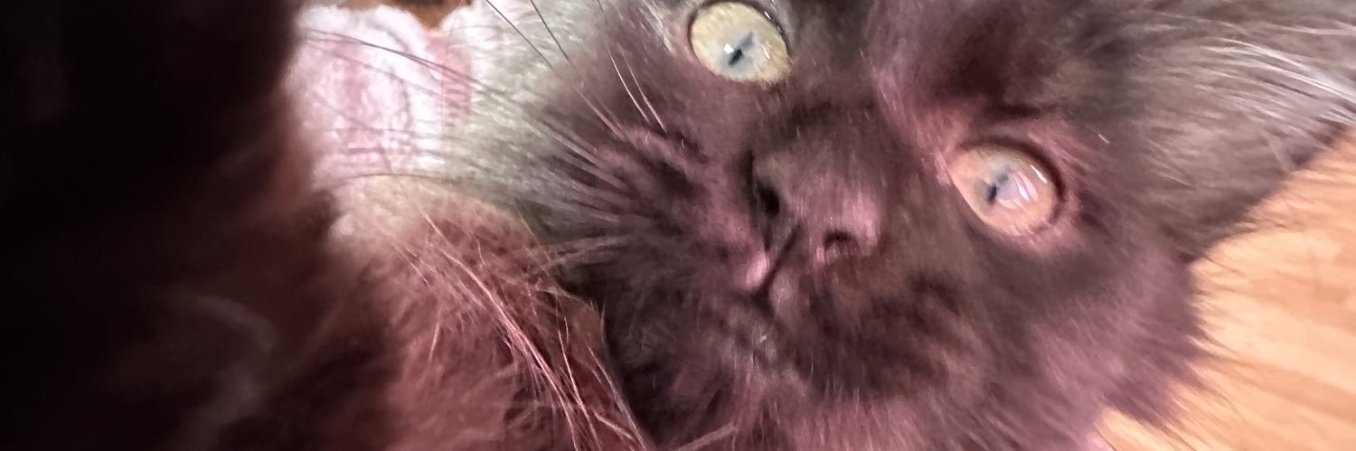 lieatjo's profile banner image