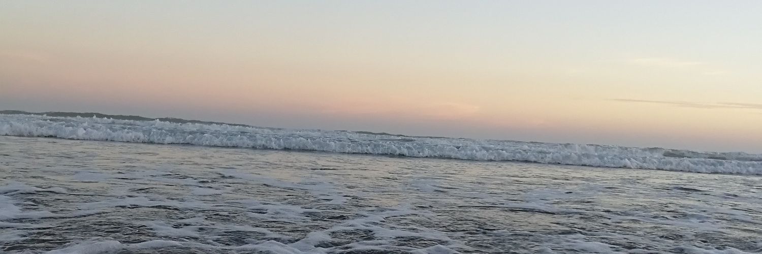 NickyyWagner's profile banner image