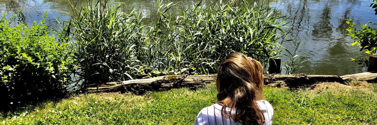 sydpesnec's profile banner image