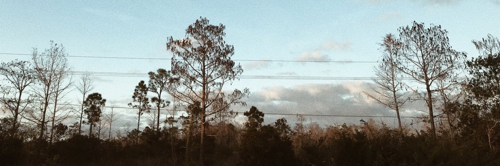 KylieNB_'s profile banner image