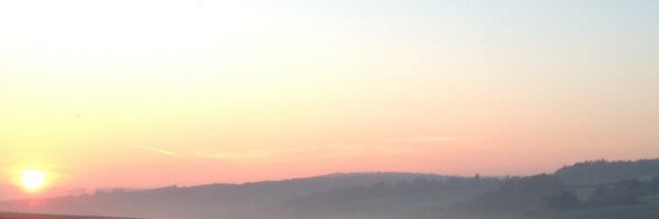 morys Profile Banner