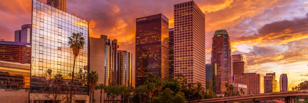 Francisco Canche banner