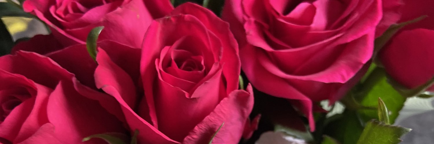 kellydraper17's profile banner image