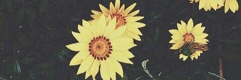 kavdl25's profile banner image