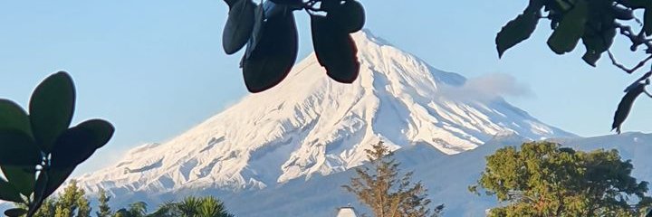 Shona Glentworth banner