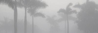 madisonbgdrmia's profile banner image
