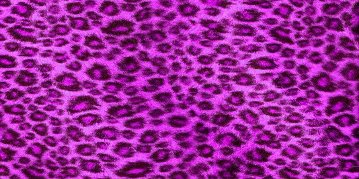 eudayanemacedo's profile banner image