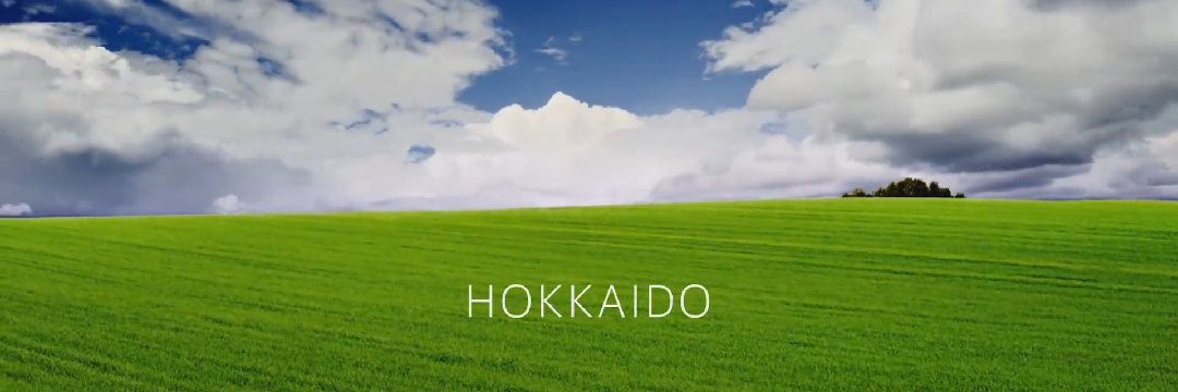 niboshimen's profile banner image