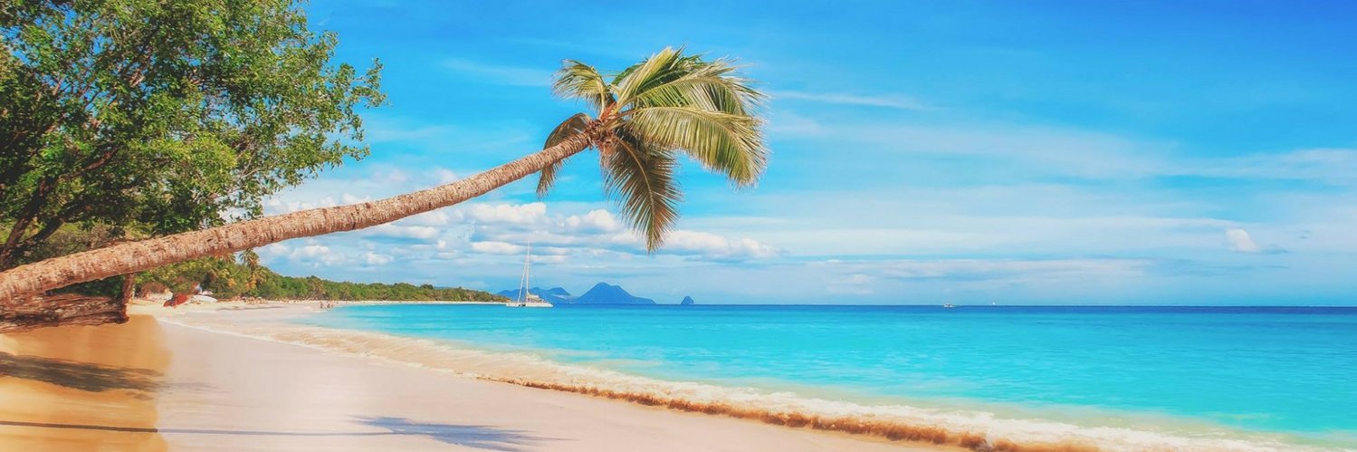 Island eGuide (@IslandeGuide) / Posts / X