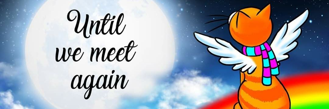 OfficialBobites's profile banner image