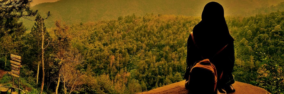 fikwitter's profile banner image