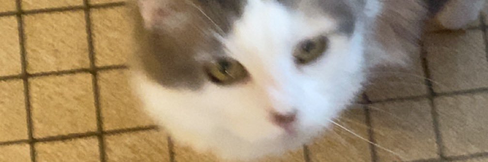 pharbvv's profile banner image