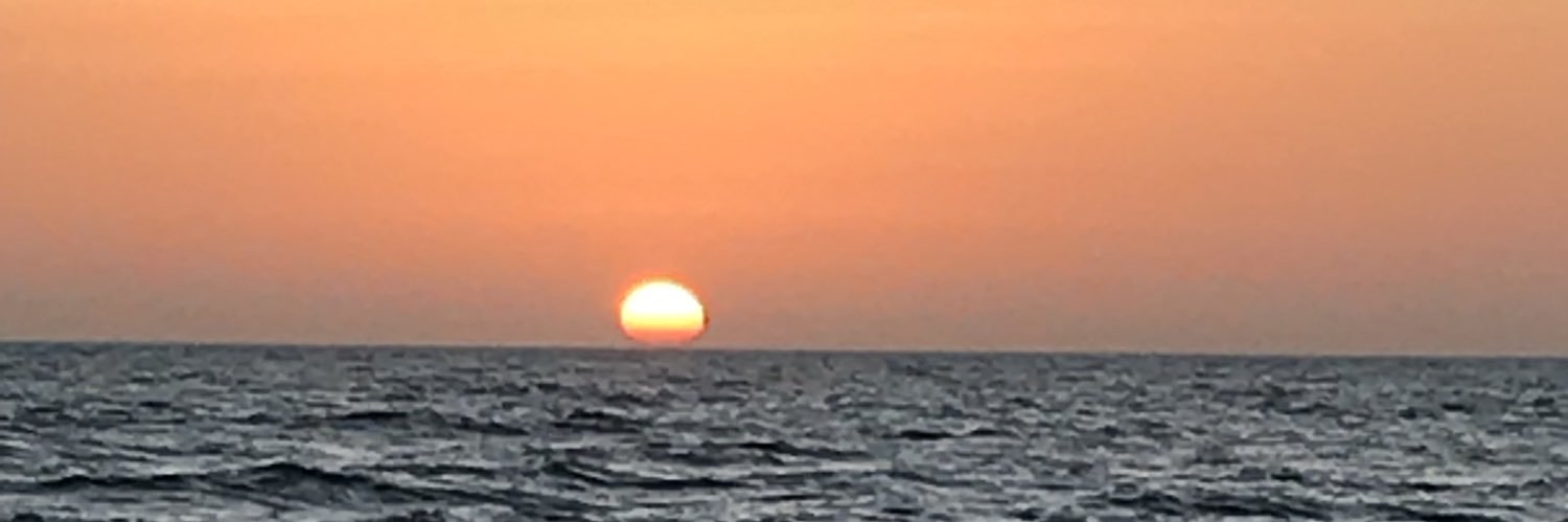 eebaumann's profile banner image