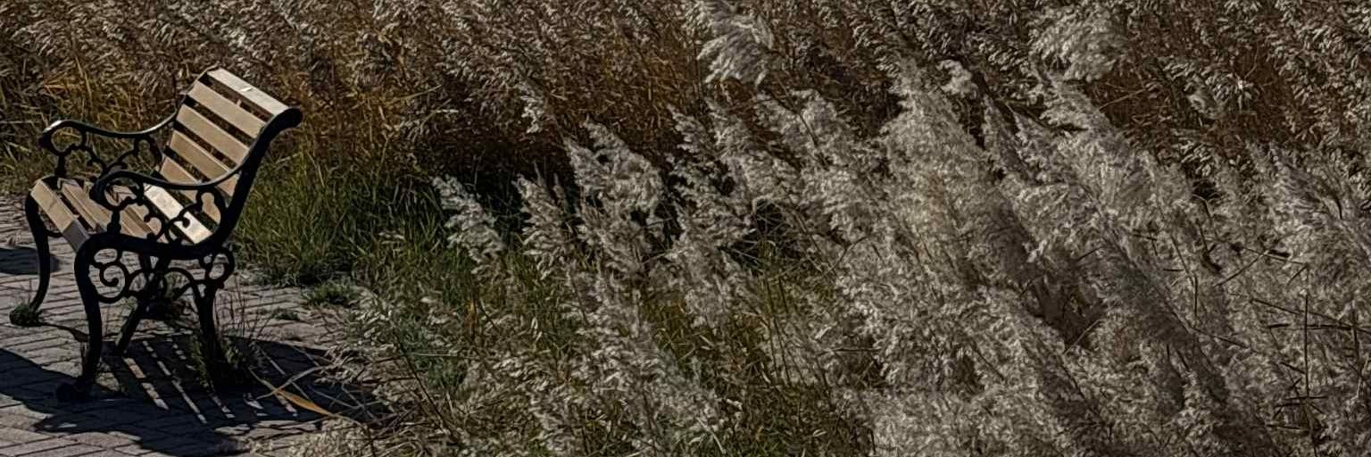 Erdenebatar's profile banner image