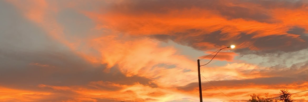 forgue00's profile banner image