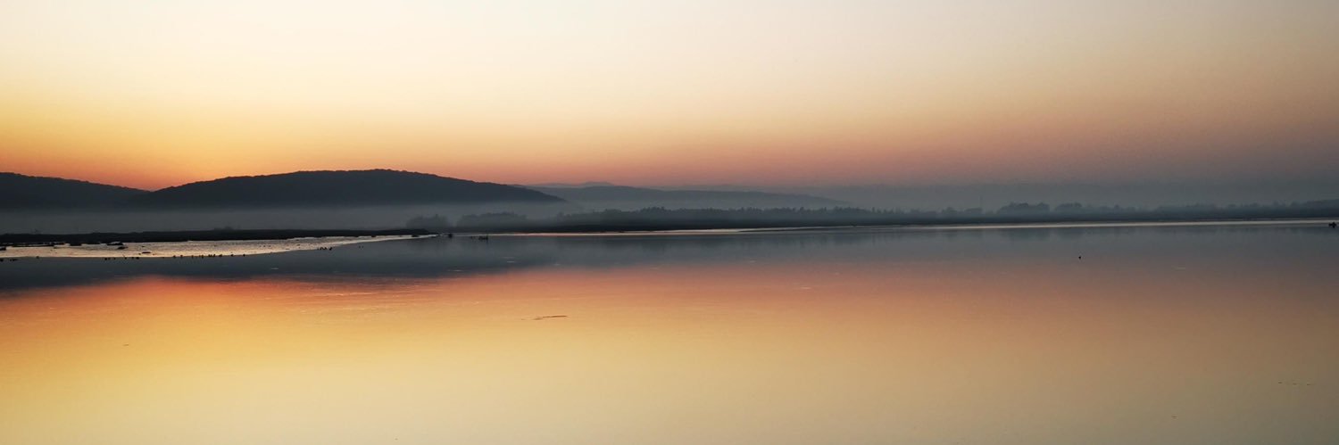 jayshensf's profile banner image