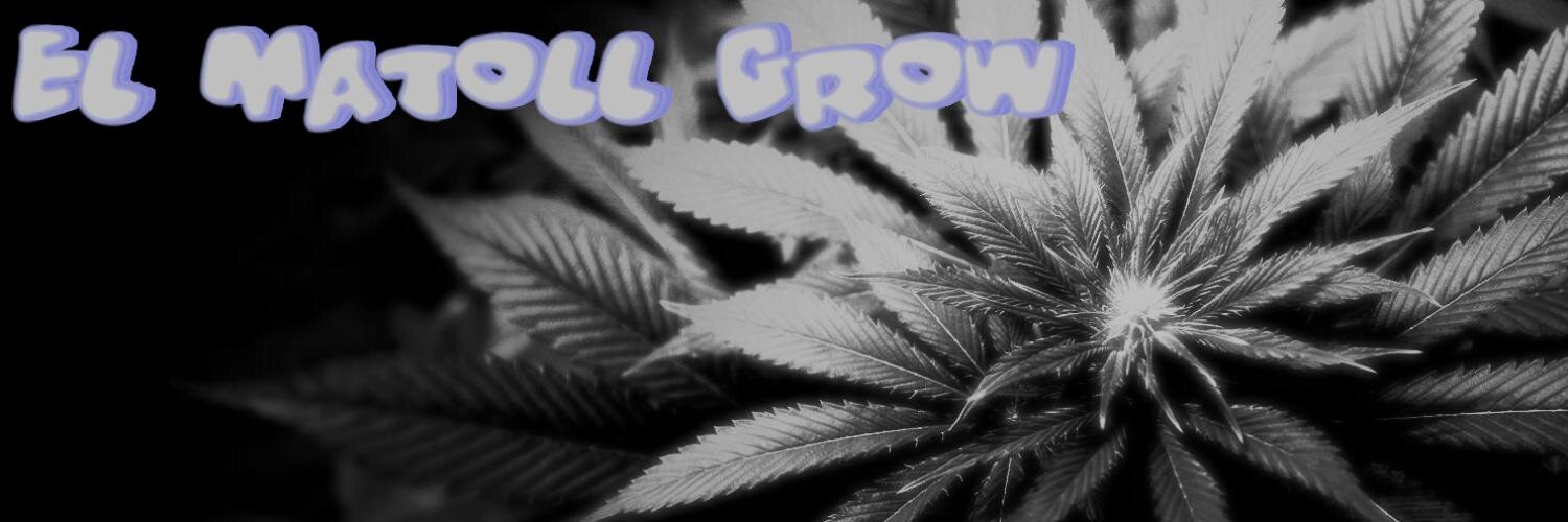 ElMatollGrow's profile banner image