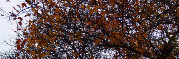 HalaHomsi Profile Banner