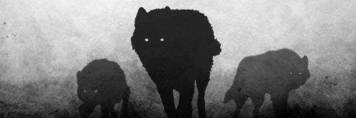 lshkabs's profile banner image