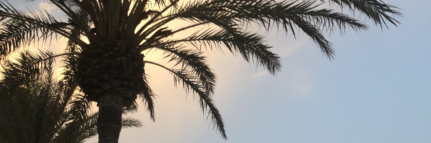 _beccagillespie's profile banner image