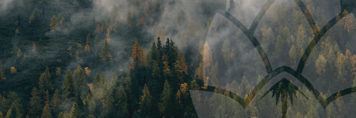 beerflite's profile banner image