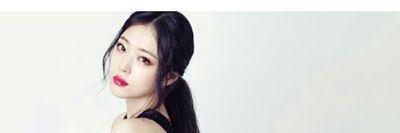choirsulli's profile banner image
