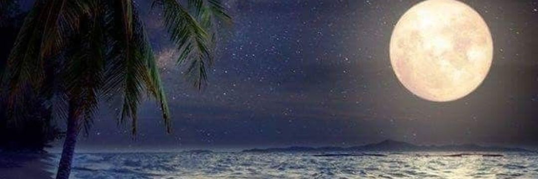 cdm_rojas's profile banner image