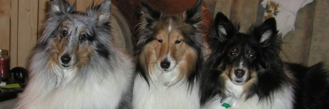 fabbarkerboys's profile banner image