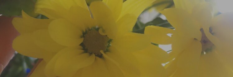 AmberRoselg's profile banner image