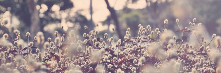 MgGlemet's profile banner image