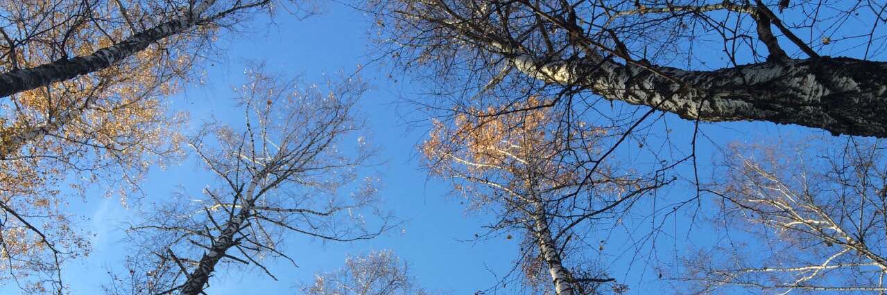 Isadora Duncan banner