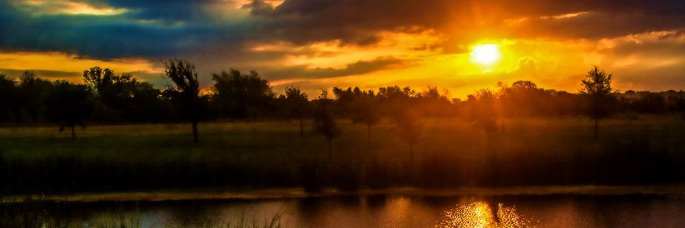 Rich Weatherly banner