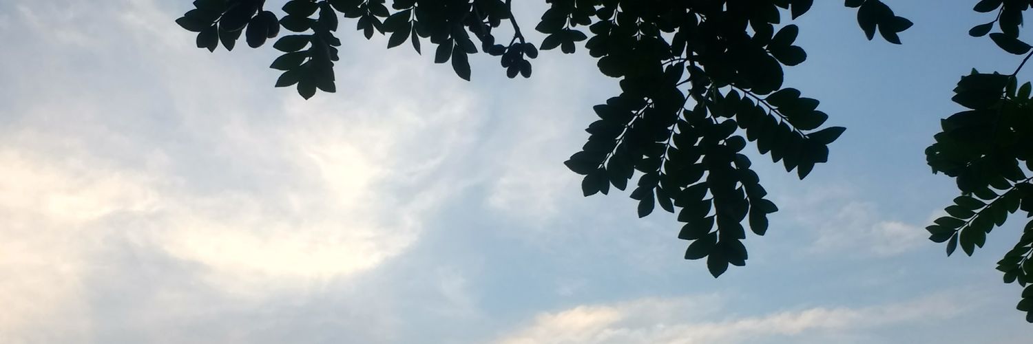 JSBR2425's profile banner image