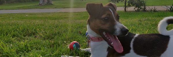 blairargall Profile Banner