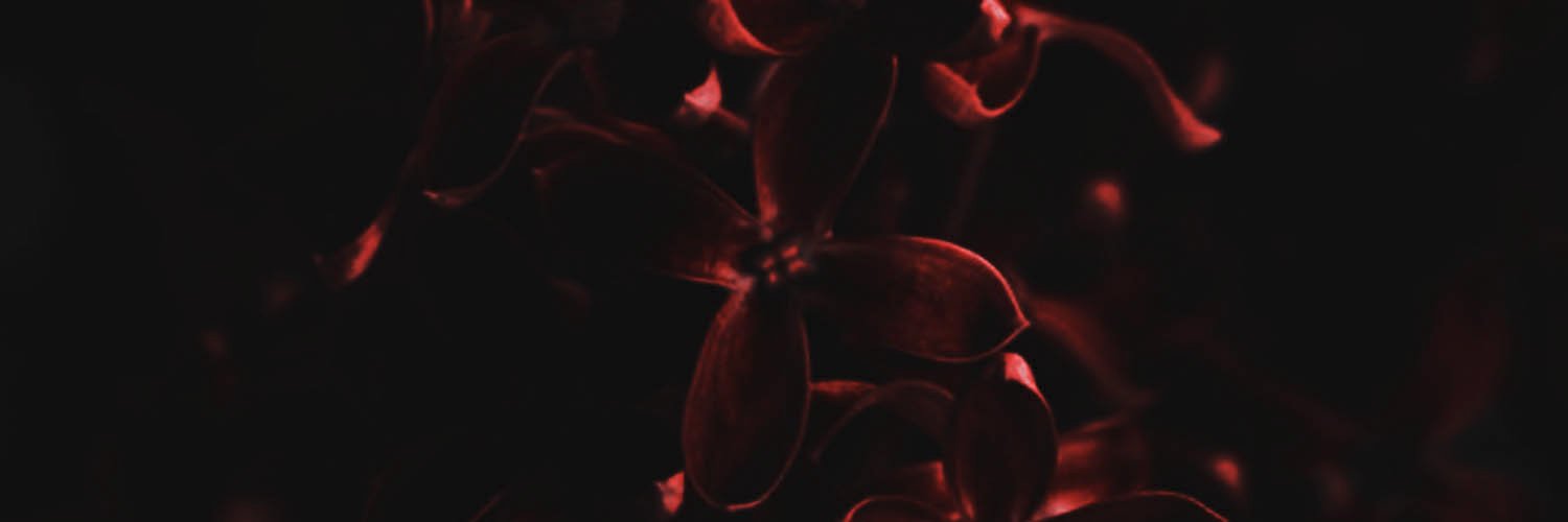 cumsprayers's profile banner image