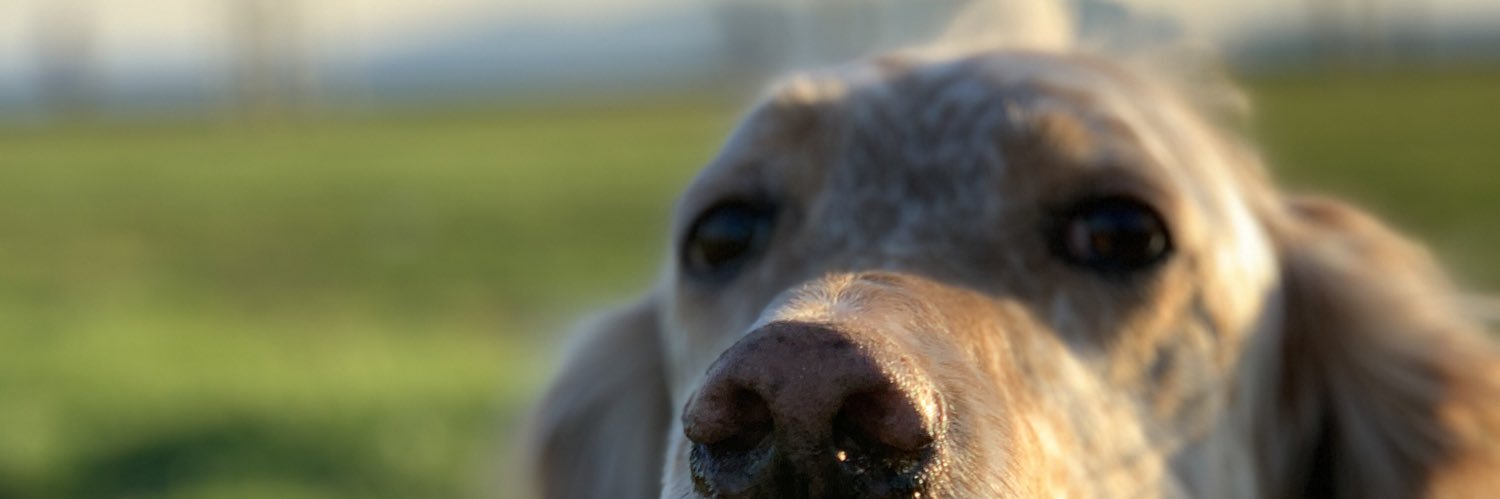 babuaaaaa's profile banner image