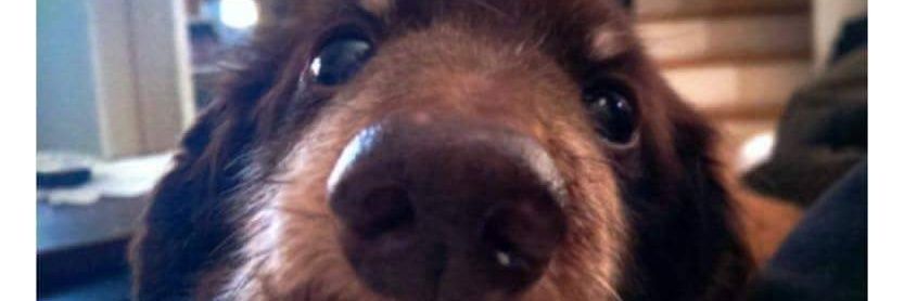 Dully_ss's profile banner image