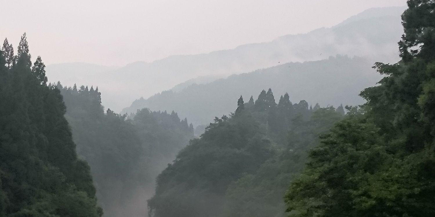 拳で突っ込み banner