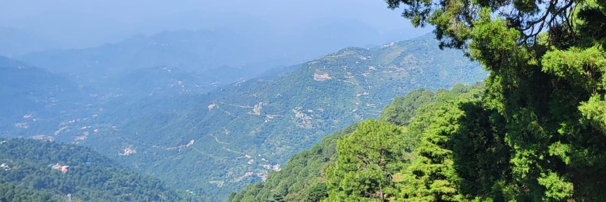 mrdavinder's profile banner image