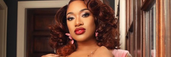 stormisteele Profile Banner