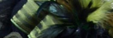 ShapaKeesay's profile banner image