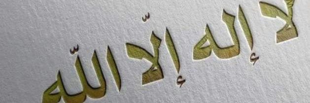 shadiahmed333's profile banner image