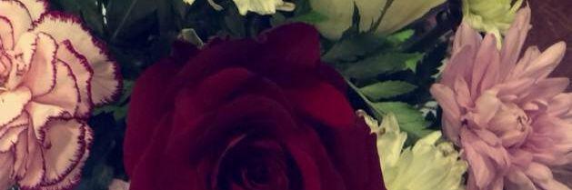 a201526674523's profile banner image