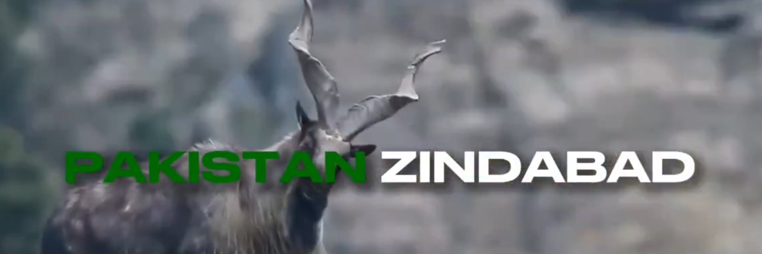 icedRIZVI's profile banner image